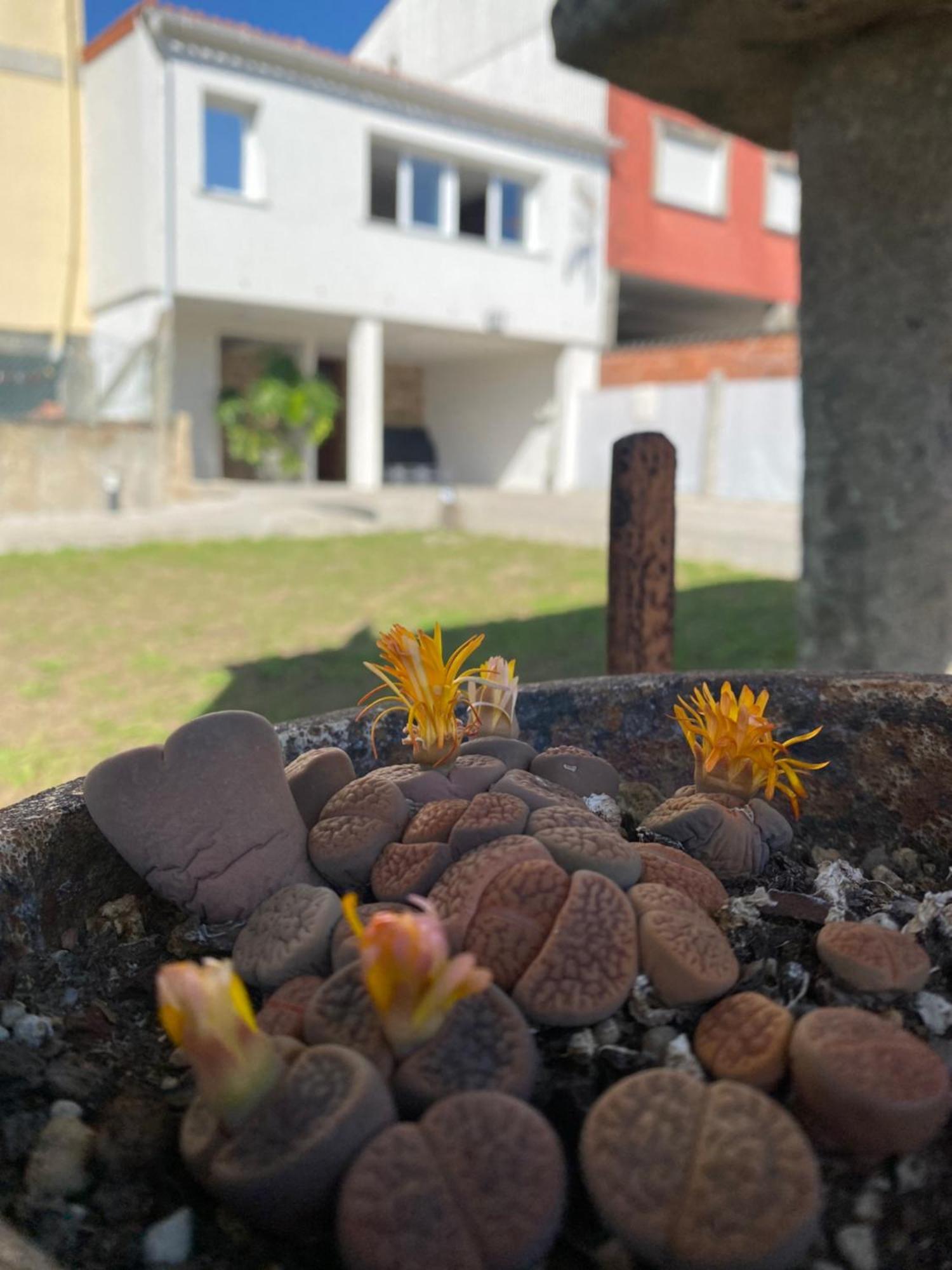 Villa Casa Do Campo Lestrove Padrón Esterno foto